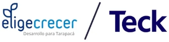 Elige Crecer · Teck