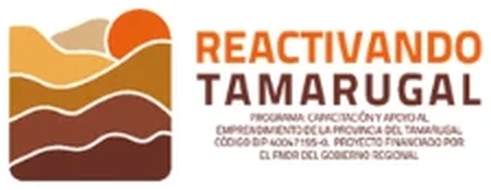 Reactivando Tamarugal